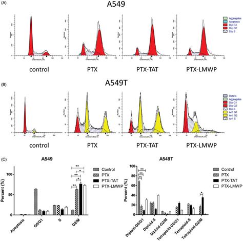 Cell Cycle Profiles Of A And A T Cells Treated With Mm Ptx Or