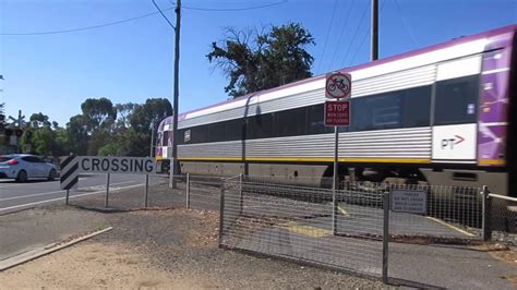 Trains In An Hour At Napier St Crossing Bendigo Pboy Youtube