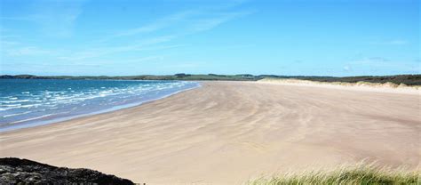 25+ Newborough campsites | Best camping in Newborough, Anglesey