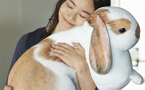 Giant French Lop Rabbit