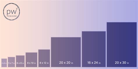 Normal Photo Dimensions Infoupdate Org