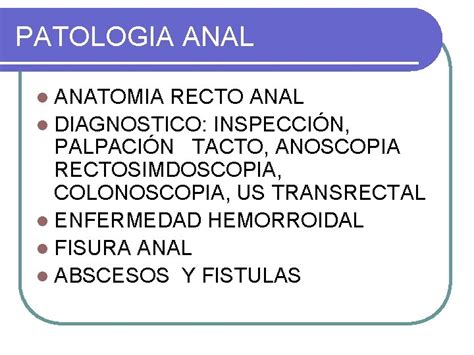 Patologia Anal L Anatomia Recto Anal L Diagnostico