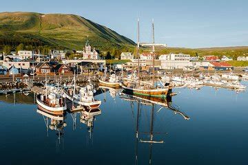 Husavik Whale Watching Tour Aboard A Traditional Oak Ship Akureyri