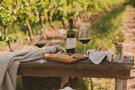 Visita a la bodega Zubizarreta: Descubre la Magia del Vino y Reserva tu ...