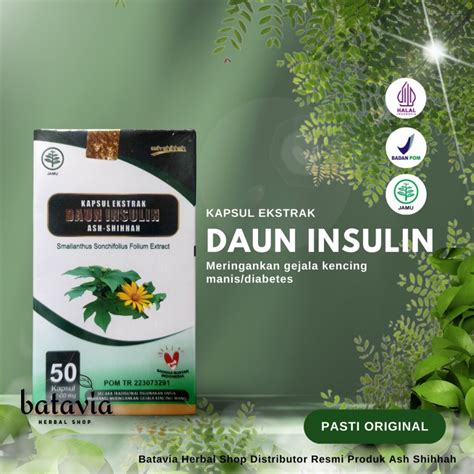 Jual Insulvit Kapsul Insulin Ash Shihah Insul Vit Shopee Indonesia