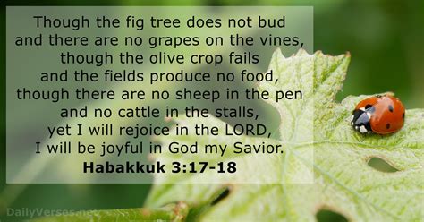 Habakkuk 3 17 18 Bible Verse DailyVerses Net