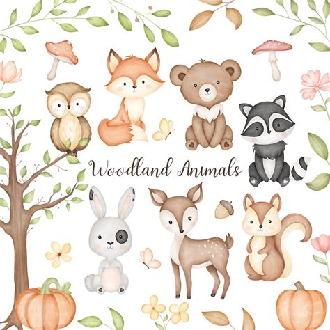 Woodland Animals Clipart Cute Baby Animals Clipart Png Etsy