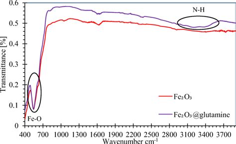 Ftir Spectra Of Fe2o3 And Fe2o3 Glutamine Nps Download Scientific Diagram