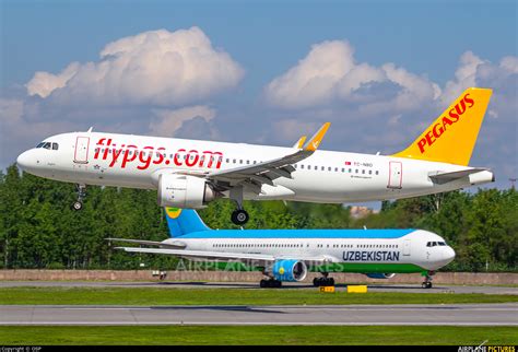 Tc Nbd Pegasus Airbus A Neo At St Petersburg Pulkovo Photo Id