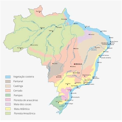 Mapa Brasil Vegetacao