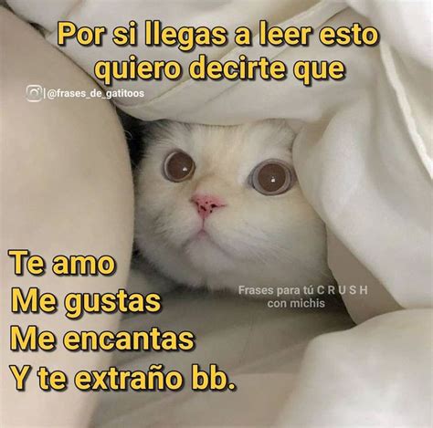 Me Encantas Imagenes Chistosas Para Reir Frases Rom Nticas Bonitas