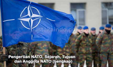 Negara Nato Brain