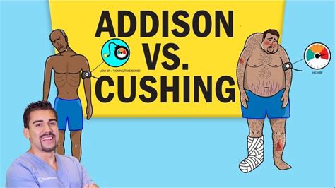 Endocrine Addisons Vs Cushings NCLEX RN Nclex Pharmacology Nursing