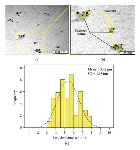 Tem Images A B And Corresponding Size Distribution Graph C Of