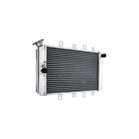 Radiateur Type Origine Pour Yamaha 550 Grizzly 2009 2014