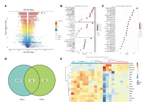 Figure 2 From Comprehensive Bioinformatics Analysis Reveals The Role Of