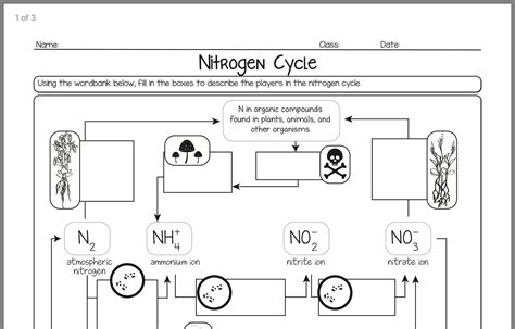Nitrogen Cycle Worksheet Answer Askworksheet