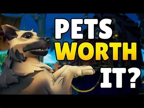 Sea Of Thieves Guide How To Get Pets