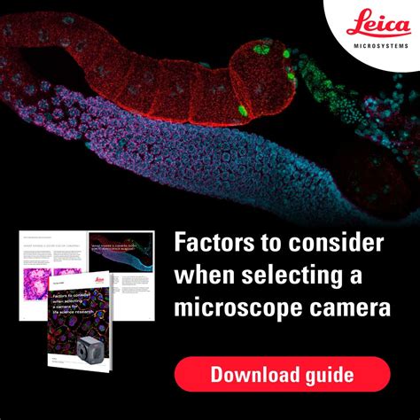 leica microsystems  linkedin microscope camera guide