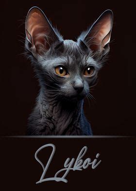 Lykoi Portrait Poster By Artistic Paradigms Displate