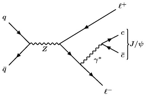 Feynman Diagram For The Dominant Production Process And Leading Order