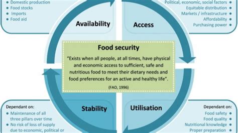 Food Security Pillars Determinants And Factors Affecting It Public