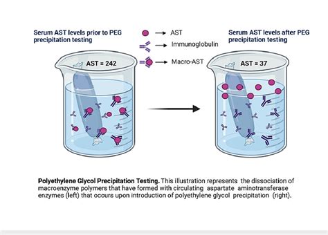 Illustration Of Polyethylene Glycol Precipitation Testing Ast