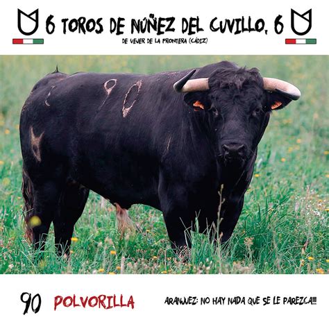 Los Toros De N Ez Del Cuvillo Para La Corrida De San Fernando En