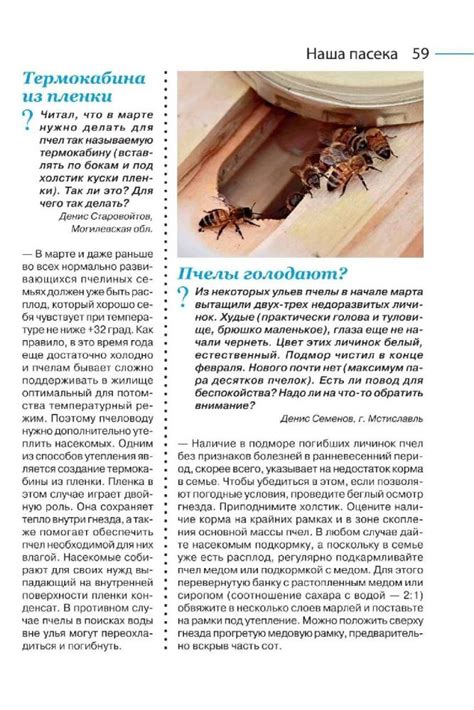 Наука и жизнь №12 декабрь 2019 читать журнал онлайн бесплатно