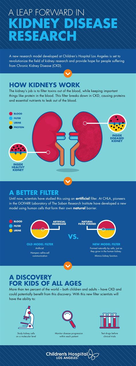 A Leap Forward in Kidney Disease Research: Scientists at Children’s