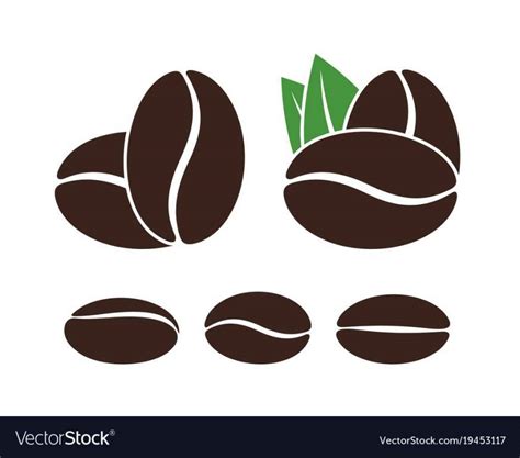 Coffee Leaf Vector at Vectorified.com | Collection of Coffee Leaf Vector free for personal use