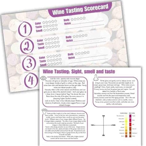 Amazon Wine Tasting Scorecards Blind Wine Tasting Party Supplies