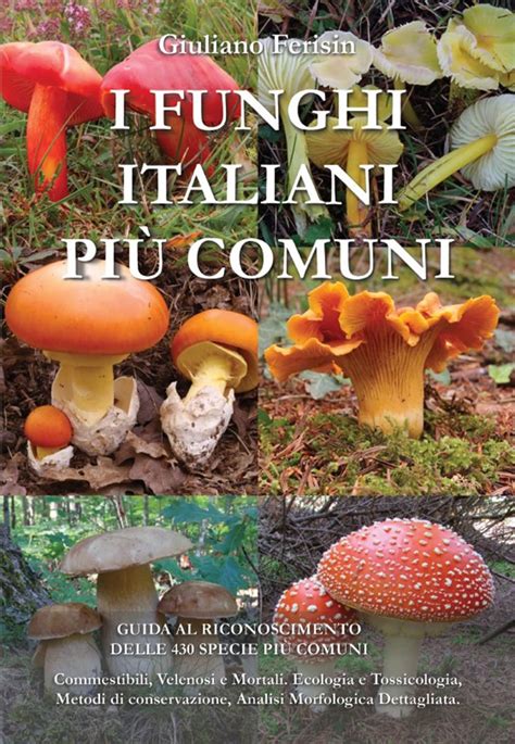 Buy I FUNGHI ITALIANI PIU COMUNI GUIDA AL RICONOSCIMENTO DELLE 430