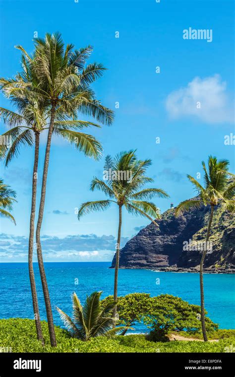 Oahu Hawaii Hi Res Stock Photography And Images Alamy