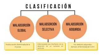 SINDROME DE MALABSORCION Generalidades Y Conceptos Basicos PPT