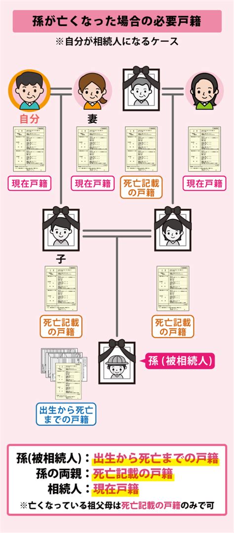 【戸籍謄本まるわかり】相続手続きに必要な戸籍をケース別に徹底解説 まごころ相続コンシェルジュ