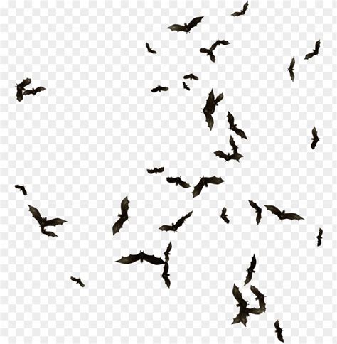 Index Of Mapping Objects Clipart Transparent Library Swarm Of Bats