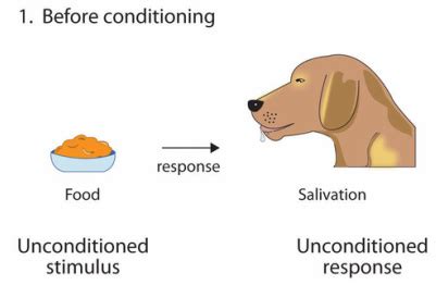 Pavlovian Conditioning - Pavlov - 512 - Behaviourism