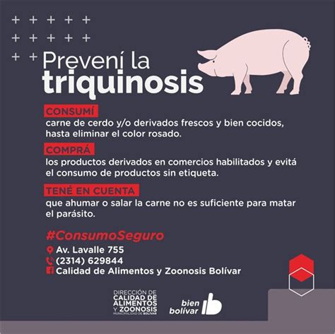 Recomendaciones Para Prevenir La Triquinosis Radio Federal Bol Var