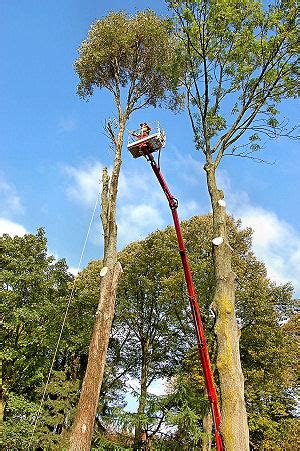 M Dudda LKW Arbeitsbühnen und Anhängerbühnen und Anhängerarbeitsbühnen