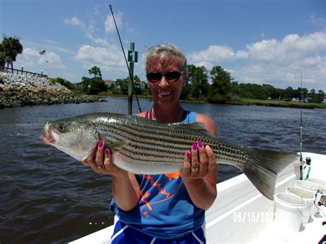 Inshore Myrtle Beach Fishing Charters North Myrtle Beach Fishing