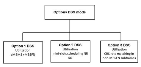 Options of DSS technology DSS Option 1 (Figure 2) is based on ...