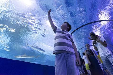 Antalya Aquarium Admission With Optional Antalya City Tour And Duden