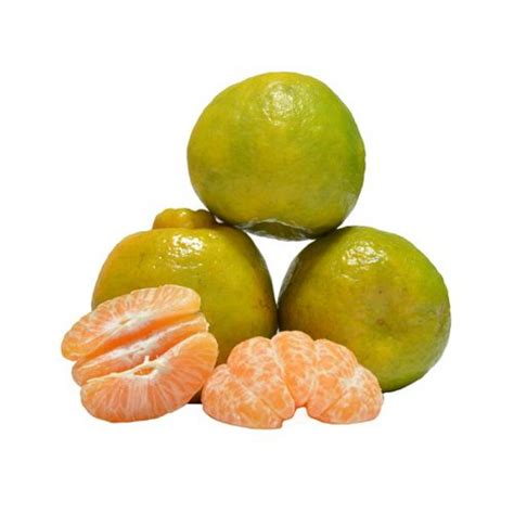 Indian Orange Wadhera Fruits