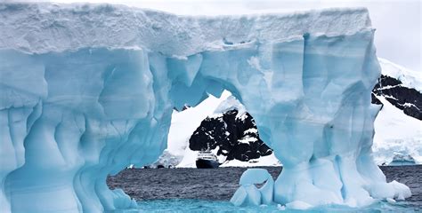 Geodyssey Antarctica Choosing An Antarctic Cruise