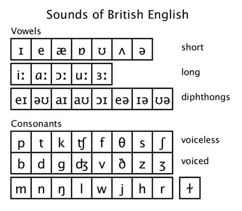 Lesson 8 Fricative F V θ ð S Z ʃ ʒ And