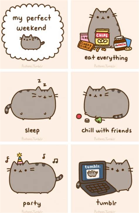 Pusheen S Perfect Weekend Pusheen Cute Pusheen Pusheen Cat