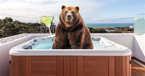 Margarita Loving Bear Lives Its Best Life By Taking A Dip In A Hot Tub