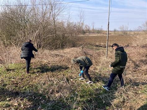 Start Ac Iuni De Ecologizare N Timi