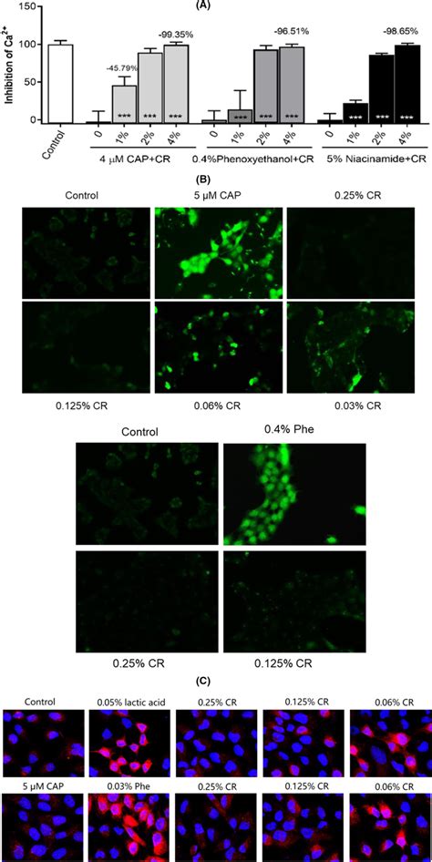 The Activation And Expression Of Trpv1 Were Significantly Inhibited By